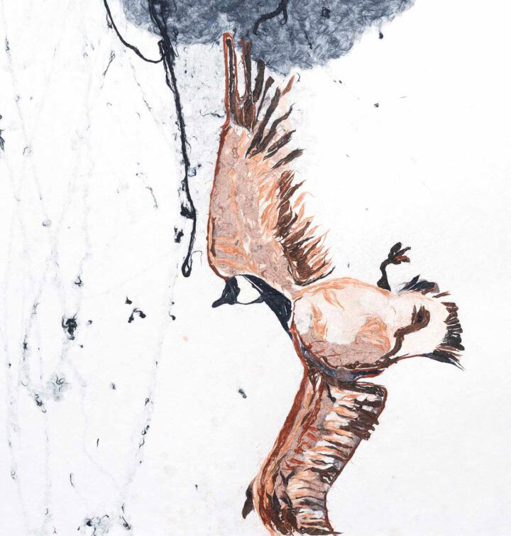 Flight Air Fire Exhibition